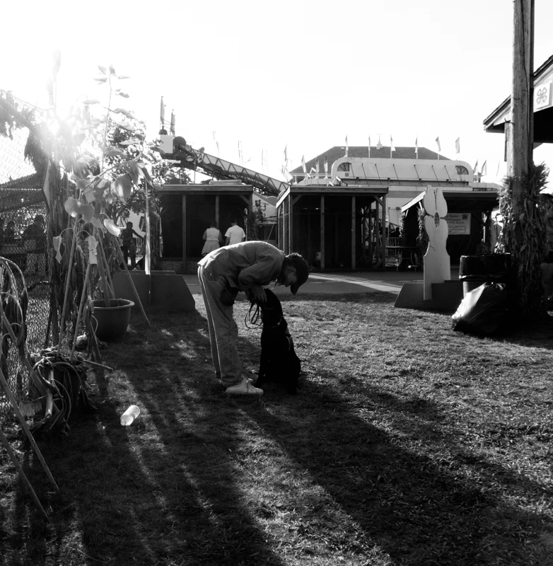 Afternoon Moment