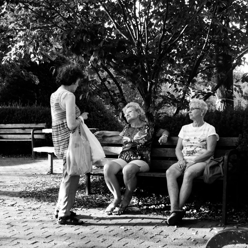 Cambridge Conversation