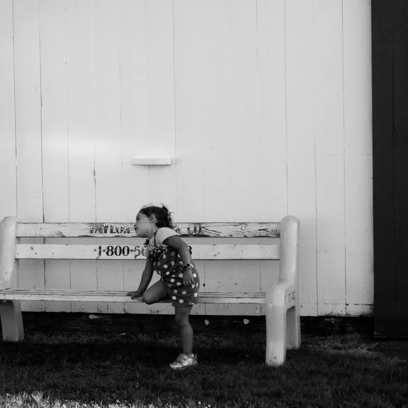 Daydreaming