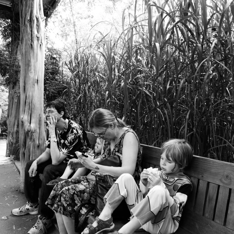 Lunchtime Waiting