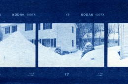 Cold Winter